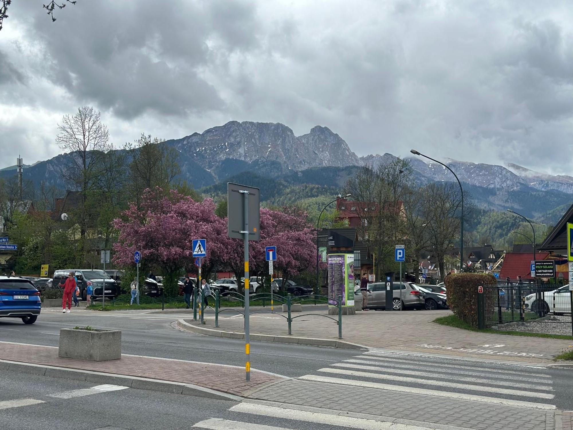 Lesny Dworek Zakopane Exterior photo
